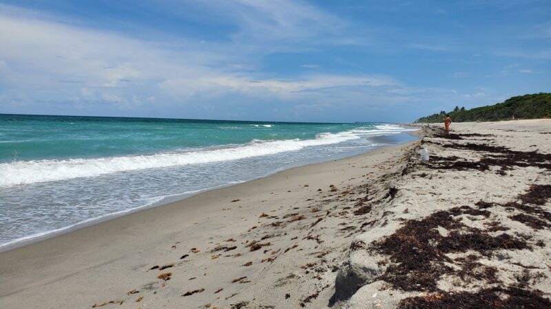 Ladder 38 @ Dog Beach - Jupiter, FL