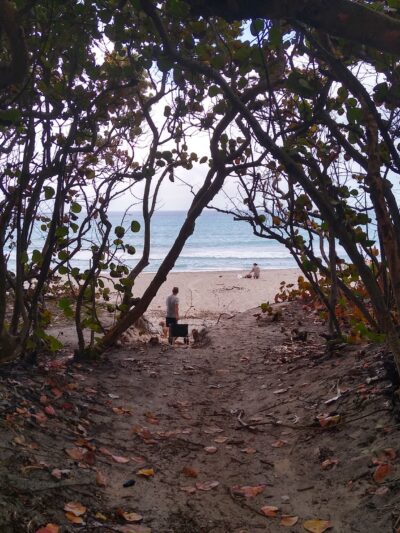 Ladder 38 @ Dog Beach - Jupiter, FL