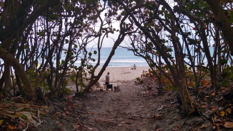 Ladder 38 @ Dog Beach - Jupiter, FL