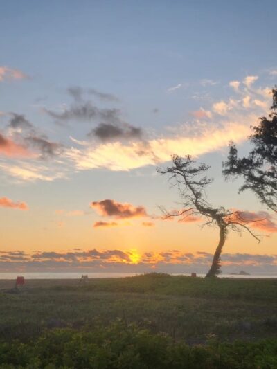 MCBH Pa Honua Dog Park - Kailua, HI