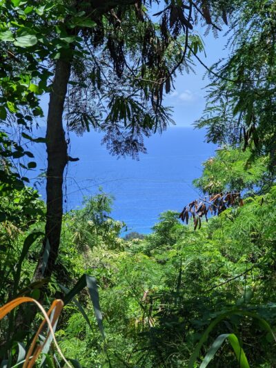 Walua Trail North Trailhead - Kailua-Kona, HI