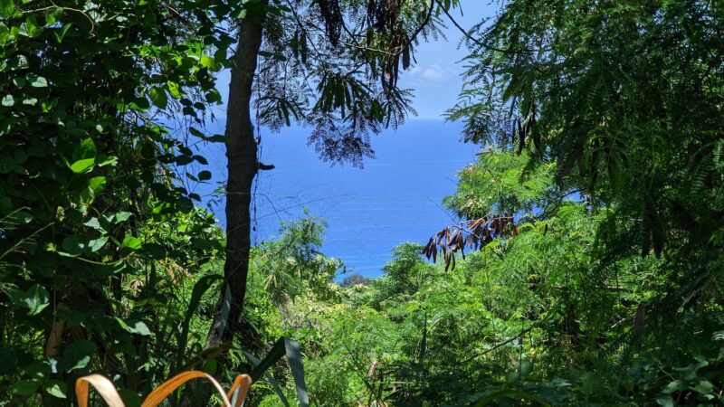 Walua Trail North Trailhead - Kailua-Kona, HI