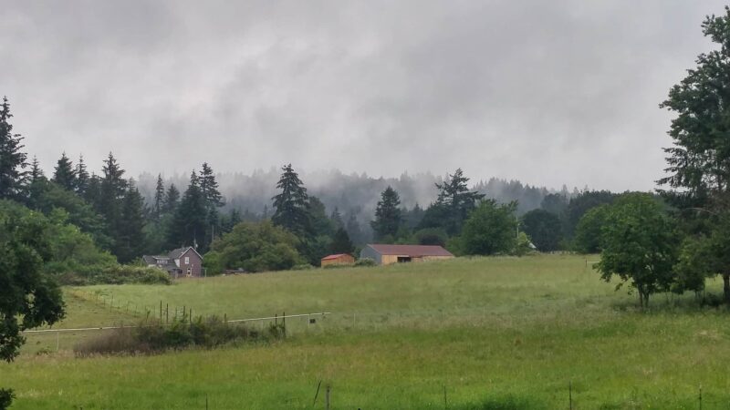 Columbia Canine Cottage Boarding & Grooming - Kalama, WA