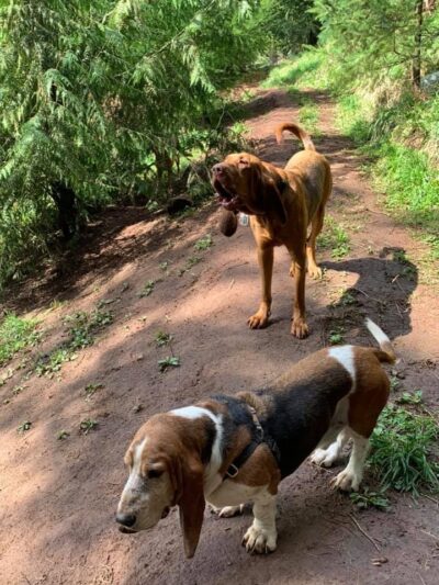 Paradise Dog Ranch - Kalama, WA