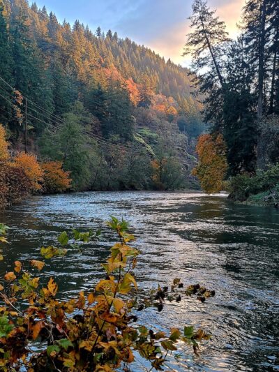 WDFW Modrow Boat Launch - Kalama, WA