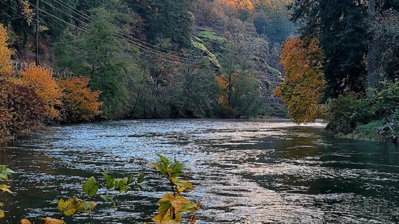 WDFW Modrow Boat Launch - Kalama, WA