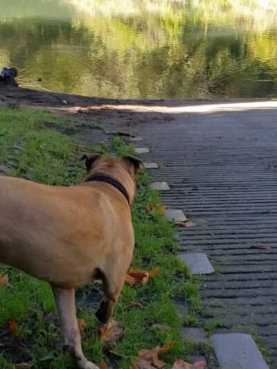 WDFW Modrow Boat Launch - Kalama, WA