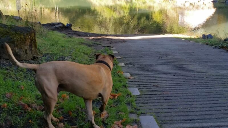 WDFW Modrow Boat Launch - Kalama, WA