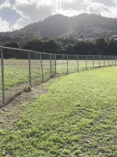 Kaneohe Dog Park - Kaneohe, HI