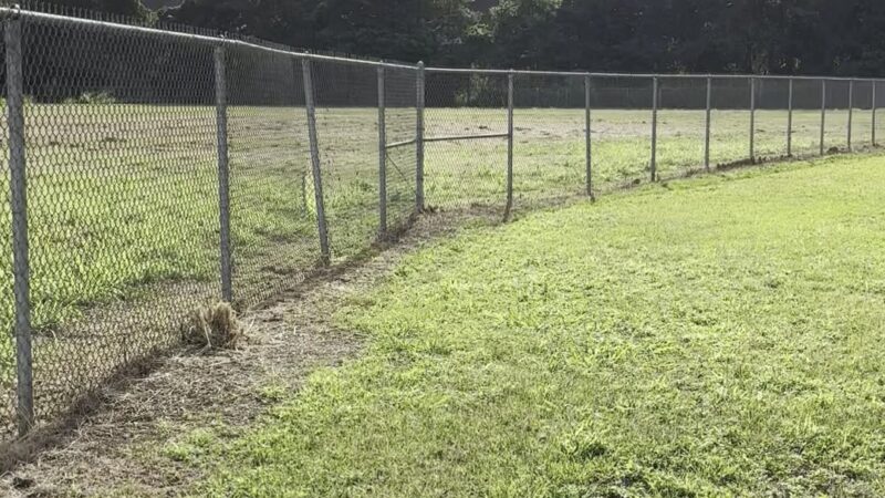 Kaneohe Dog Park - Kaneohe, HI