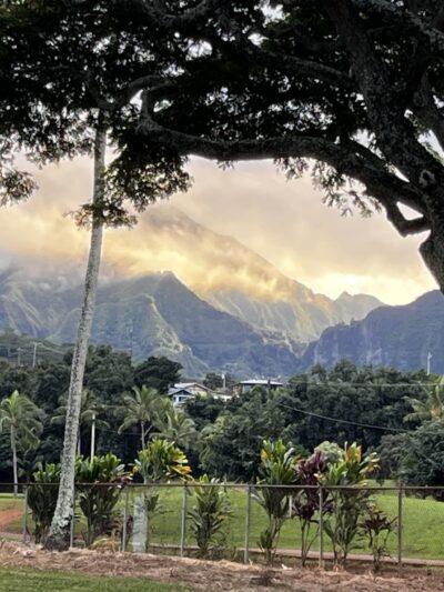 Kaneohe Dog Park - Kaneohe, HI