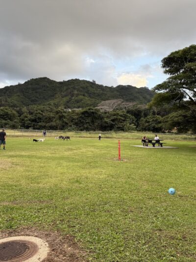 Kaneohe Dog Park - Kaneohe, HI