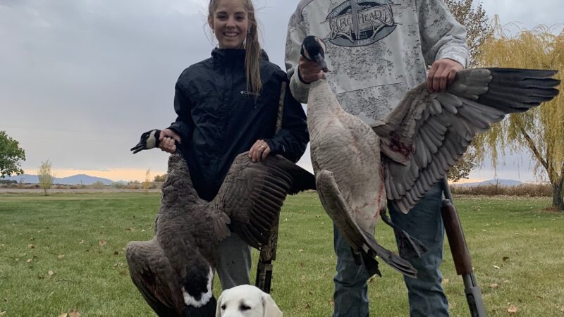 Kanosh Labs - Kanosh, UT