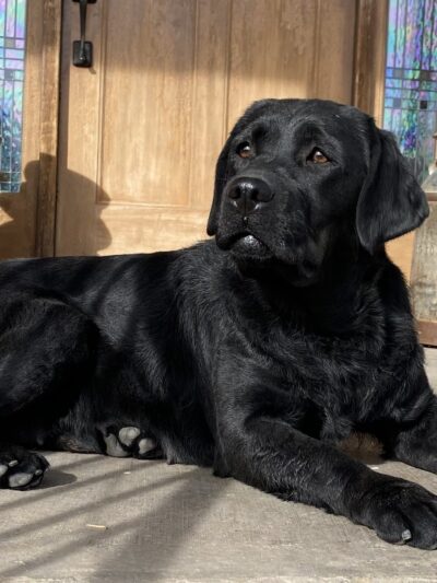 Kanosh Labs - Kanosh, UT