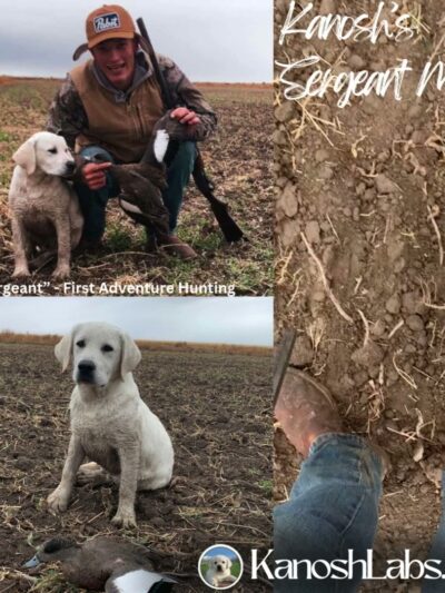 Kanosh Labs - Kanosh, UT