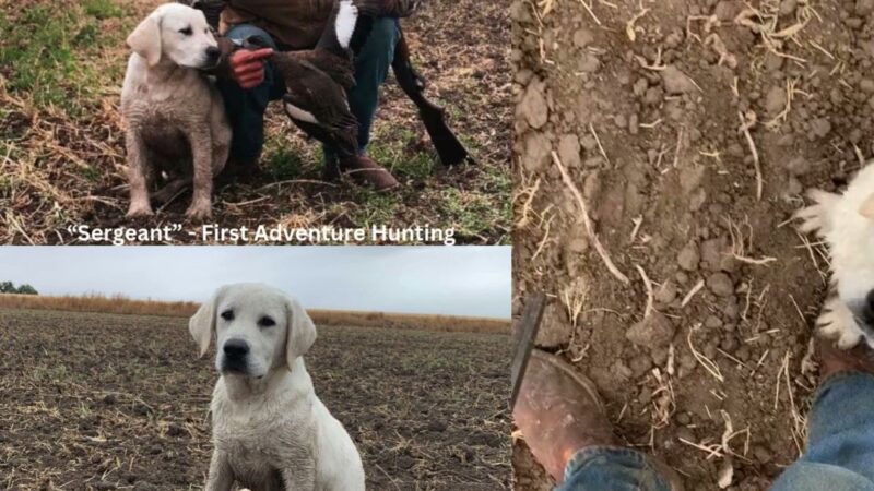 Kanosh Labs - Kanosh, UT