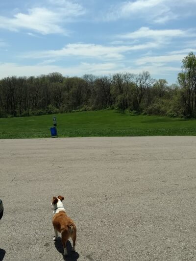 Leash Free Dog Run - Kansas City, KS