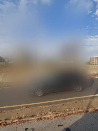 Kemp Off Leash Dog Park - Kansas City, MO