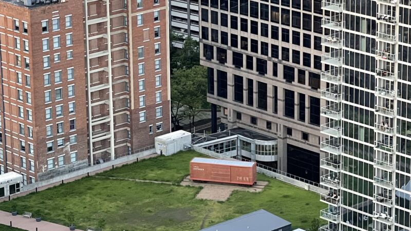 Residential Roof Top Dog Park - Kansas City, MO