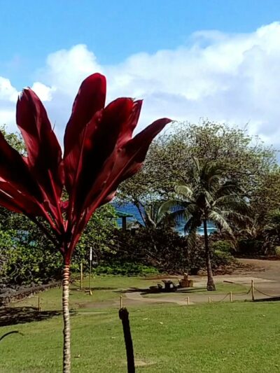 Kēōkea Beach Park - Kapaau, HI