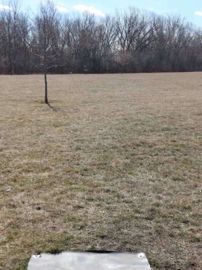 Lion’s Park - Kasson, MN