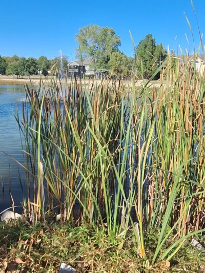 Kechi Park - Kechi, KS