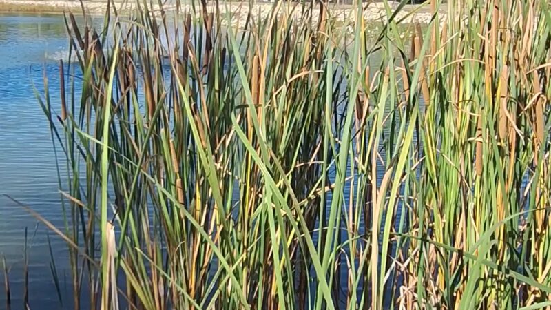 Kechi Park - Kechi, KS