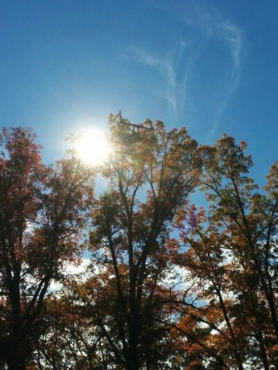 Chestnut Grove Park - Keedysville, MD