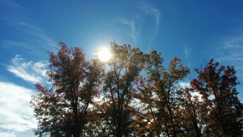 Chestnut Grove Park - Keedysville, MD