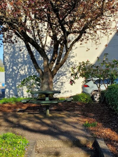 Kelso Commons - Kelso, WA