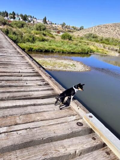 Barktopia Dog Park - Kemmerer, WY