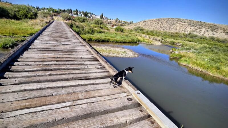 Barktopia Dog Park - Kemmerer, WY