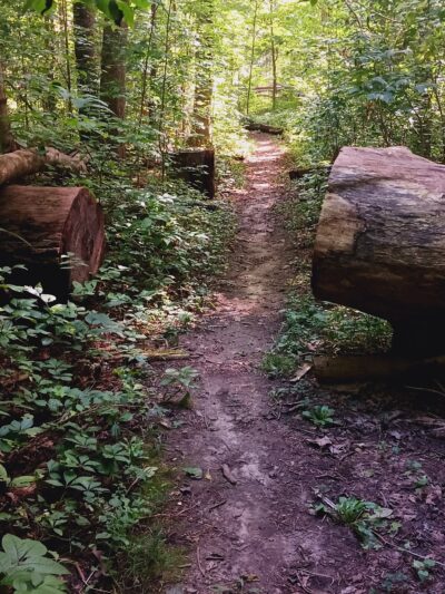 Lonidaw Nature Preserve - ACRES Land Trust - Kendallville, IN