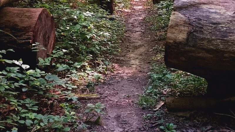 Lonidaw Nature Preserve - ACRES Land Trust - Kendallville, IN