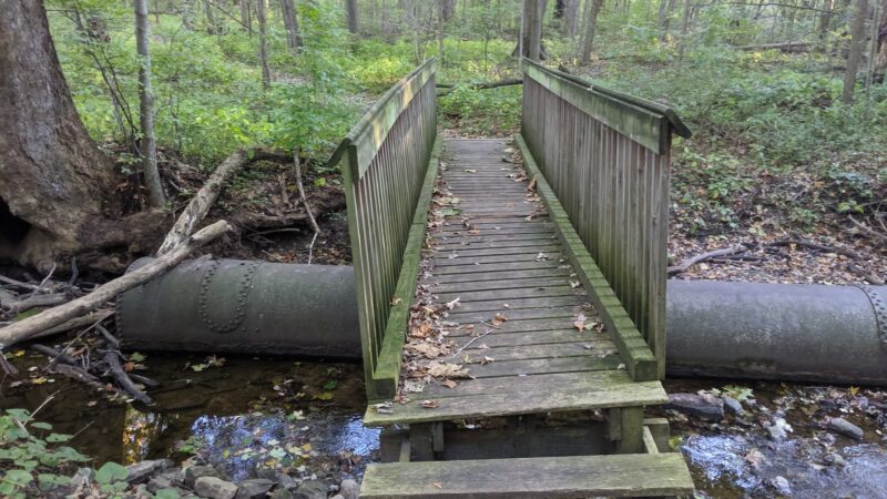 Lonidaw Nature Preserve - ACRES Land Trust - Kendallville, IN
