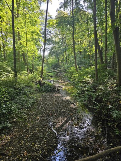 Lonidaw Nature Preserve - ACRES Land Trust - Kendallville, IN