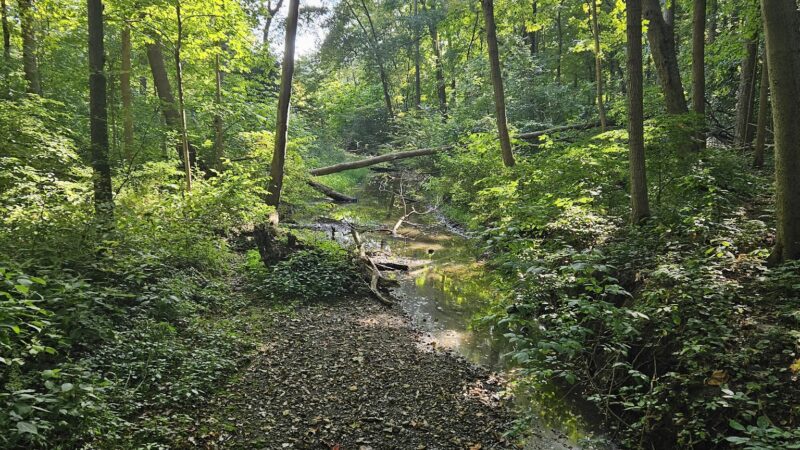 Lonidaw Nature Preserve - ACRES Land Trust - Kendallville, IN