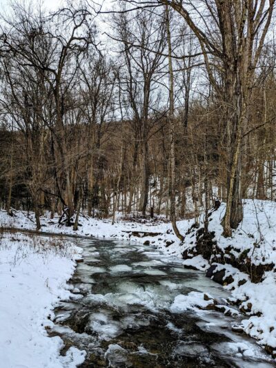 Clear Creek State Forest - Kennerdell Tract - Kennerdell, PA