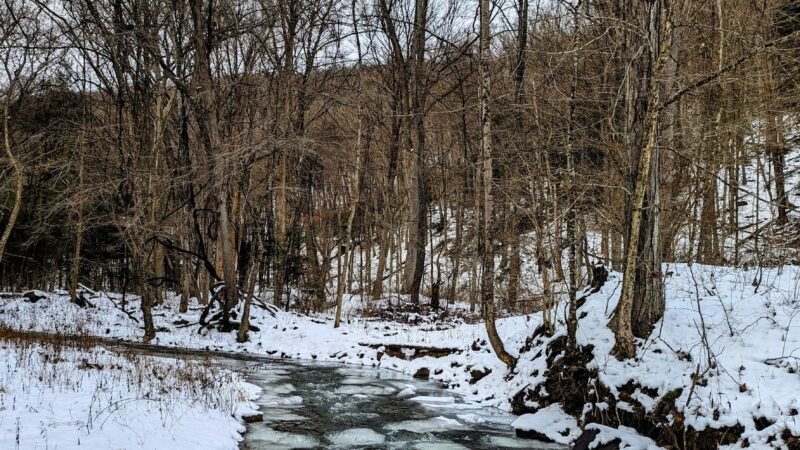 Clear Creek State Forest - Kennerdell Tract - Kennerdell, PA