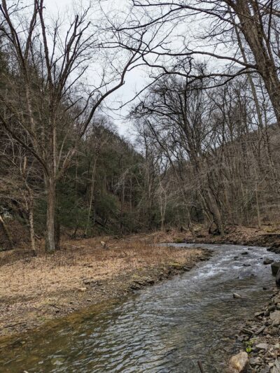 Clear Creek State Forest - Kennerdell Tract - Kennerdell, PA