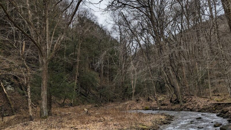 Clear Creek State Forest - Kennerdell Tract - Kennerdell, PA