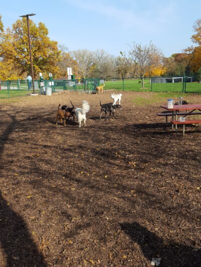 Carlisle Family Dog Park - Kenosha, WI