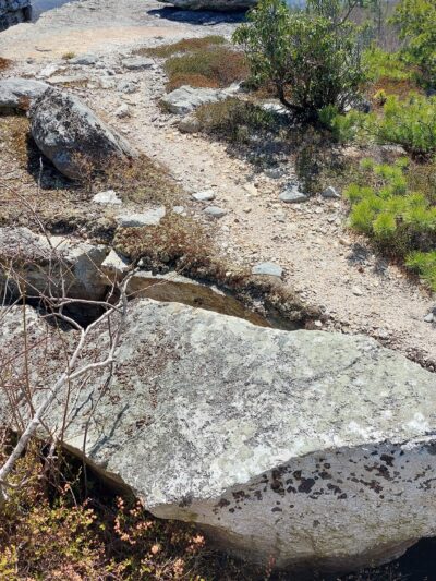 Gertrude's Nose / Minnewaska Trail - Kerhonkson, NY
