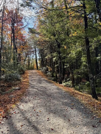 Gertrude's Nose / Minnewaska Trail - Kerhonkson, NY