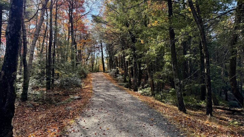 Gertrude's Nose / Minnewaska Trail - Kerhonkson, NY