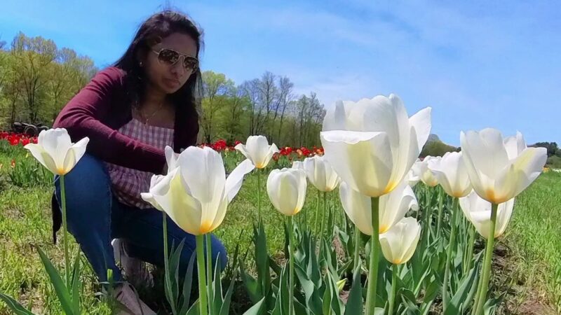 Kelder's Farm - Kerhonkson, NY