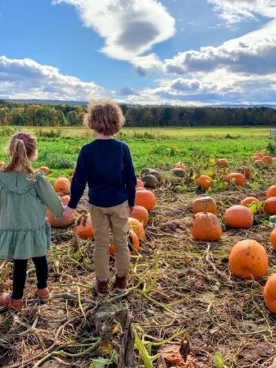 Kelder's Farm - Kerhonkson, NY