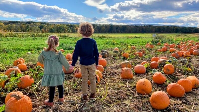 Kelder's Farm - Kerhonkson, NY