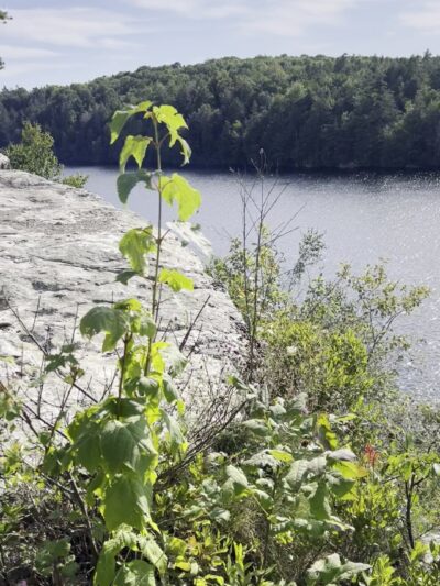 Lake Minnewaska Carriage Road trailhead - Kerhonkson, NY
