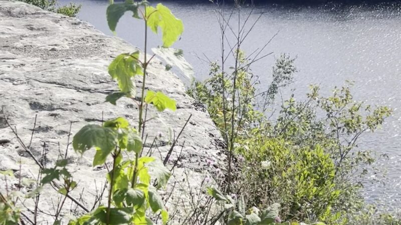 Lake Minnewaska Carriage Road trailhead - Kerhonkson, NY